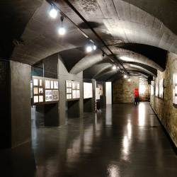musil-cedegolo-sala-volta-1